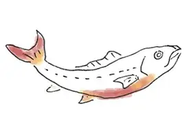 【広島アンデルセン】パンと料理のライブキッチン！ひろしまのおいしさが集まるディナーコースを4日間限定で開催（2/16～20） 画像 4