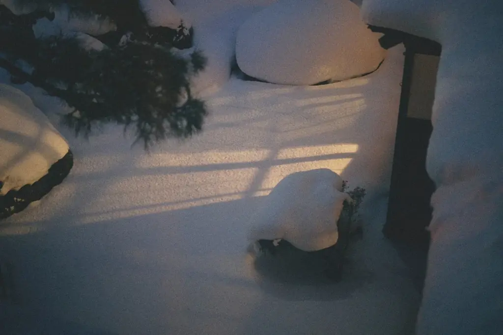 【新開業】函館、国指定重要文化財「旧相馬家住宅」がホテルに！「旧相馬家 Kazeno Heritage」3月1日（日）開業決定、2月4日（水）より予約開始 画像 12