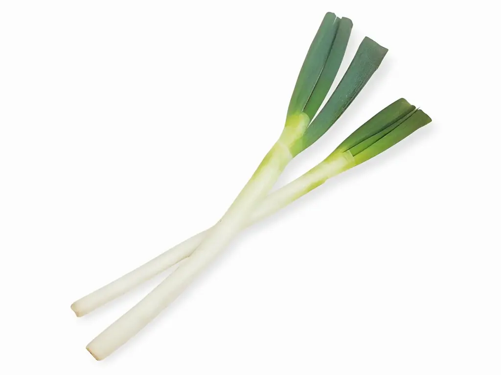 JR大宮駅「エキュート大宮/大宮 ノース」おいしく地産地消！埼玉県産食材の魅力再発見「もぐもぐ埼玉」フェア開催!!　埼玉名産「桂木ゆず」の新作サンド、「狭山茶」の限定スイーツなど、全21商品が大集合！ 画像 21