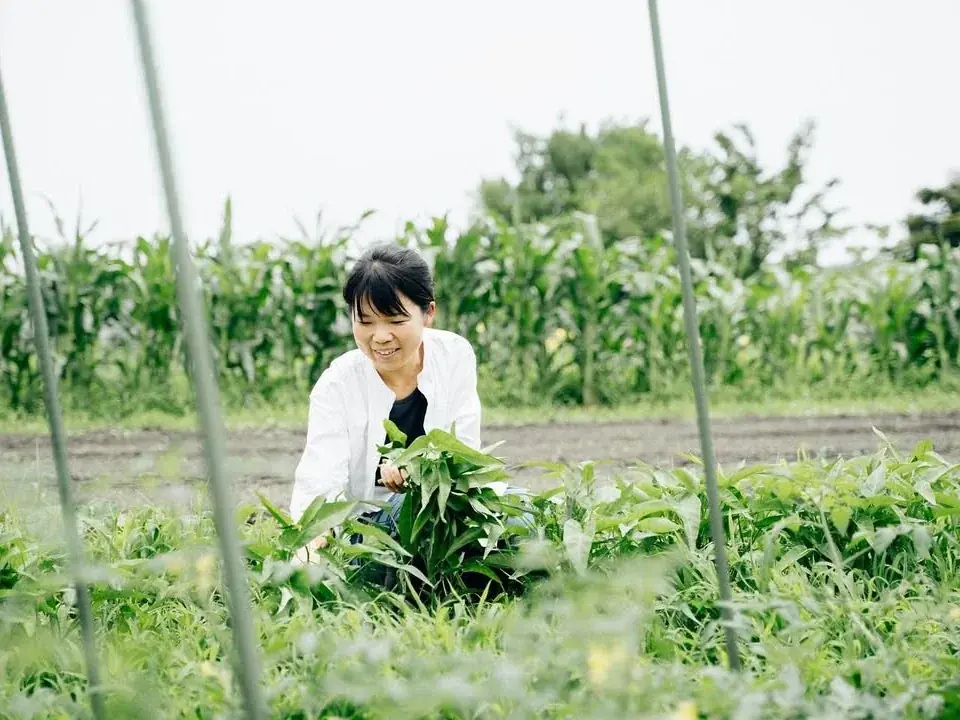 JR大宮駅「エキュート大宮/大宮 ノース」おいしく地産地消！埼玉県産食材の魅力再発見「もぐもぐ埼玉」フェア開催!!　埼玉名産「桂木ゆず」の新作サンド、「狭山茶」の限定スイーツなど、全21商品が大集合！ 画像 3