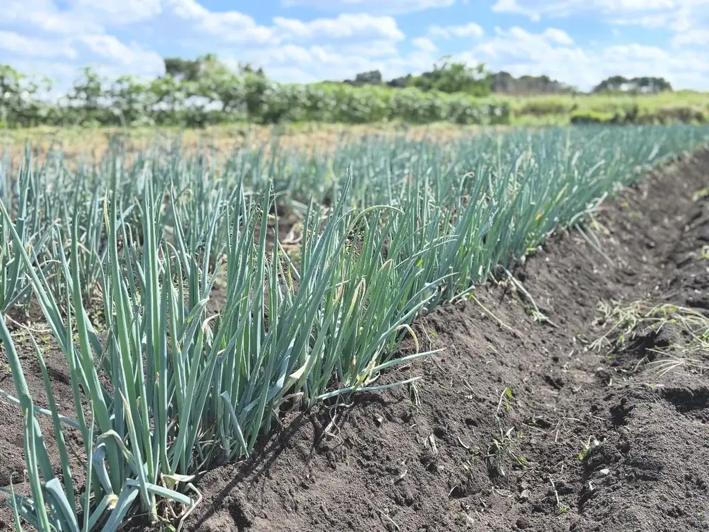 JR大宮駅「エキュート大宮/大宮 ノース」おいしく地産地消！埼玉県産食材の魅力再発見「もぐもぐ埼玉」フェア開催!!　埼玉名産「桂木ゆず」の新作サンド、「狭山茶」の限定スイーツなど、全21商品が大集合！ 画像 4