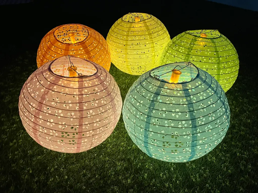 日本で一番早い開花宣言！？花粉を気にせず屋内でお花見気分♪『てんぼうパーク　さくらまつり』夜間限定で提灯を持って特別な春の記念撮影も！*2月26日（木）～5月10日（日）* 画像 10