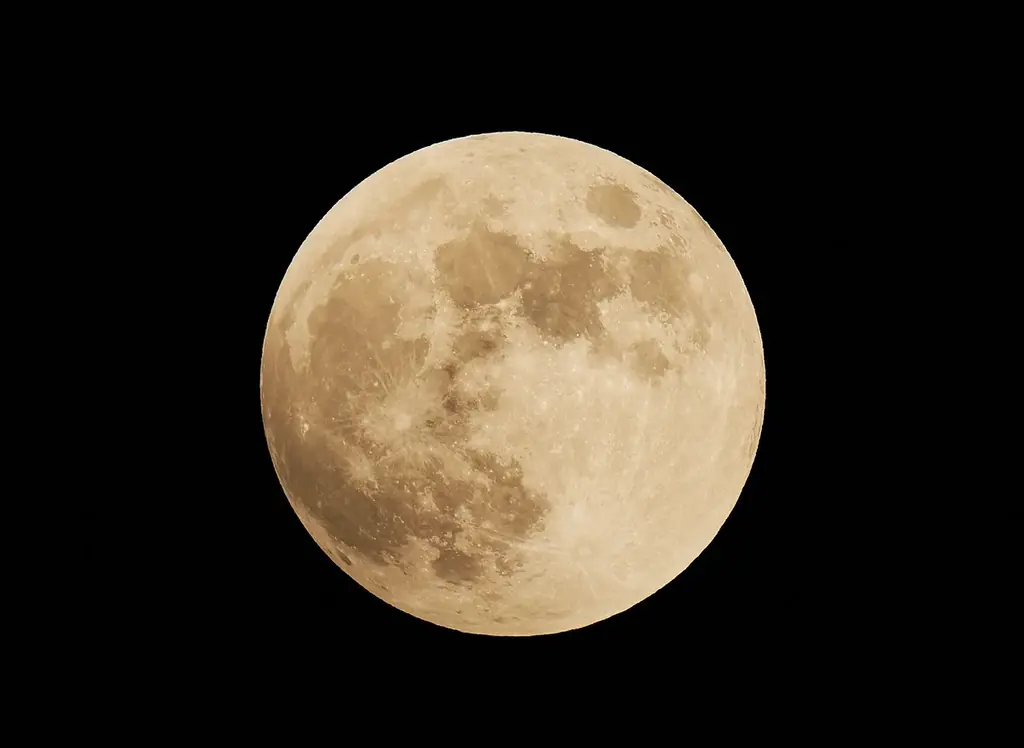 日本で一番早い開花宣言！？花粉を気にせず屋内でお花見気分♪『てんぼうパーク　さくらまつり』夜間限定で提灯を持って特別な春の記念撮影も！*2月26日（木）～5月10日（日）* 画像 21