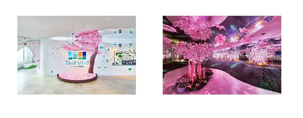 日本で一番早い開花宣言！？花粉を気にせず屋内でお花見気分♪『てんぼうパーク　さくらまつり』夜間限定で提灯を持って特別な春の記念撮影も！*2月26日（木）～5月10日（日）* 画像 22