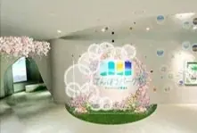 日本で一番早い開花宣言！？花粉を気にせず屋内でお花見気分♪『てんぼうパーク　さくらまつり』夜間限定で提灯を持って特別な春の記念撮影も！*2月26日（木）～5月10日（日）* 画像 3