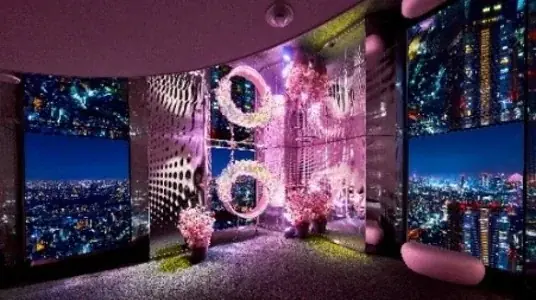 日本で一番早い開花宣言！？花粉を気にせず屋内でお花見気分♪『てんぼうパーク　さくらまつり』夜間限定で提灯を持って特別な春の記念撮影も！*2月26日（木）～5月10日（日）* 画像 8