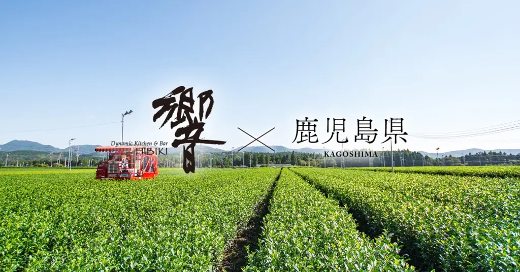 2月7日開催｜響×鹿児島フェアで黒牛や和紅茶料理