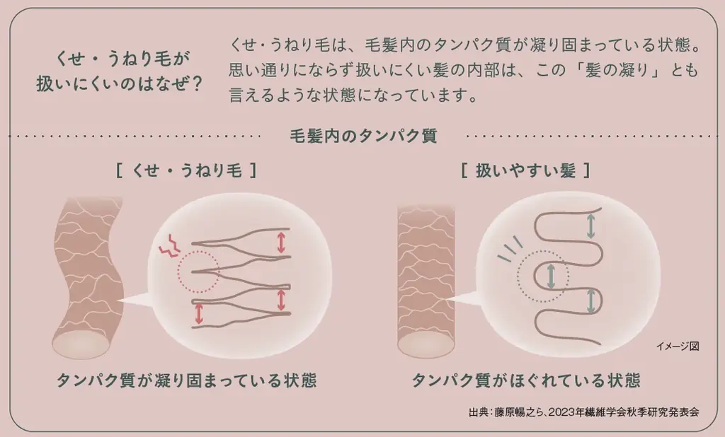 ミルボンより、扱いにくい「くせ・うねり毛」に根元からアプローチする新ヘアケアブランド『suwae（スワエ）』誕生 画像 3