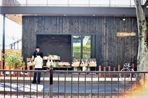 【2026年最新】住宅街で育つ“松戸のレモン”が収穫最盛期に 画像 6