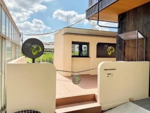 【2026年最新】住宅街で育つ“松戸のレモン”が収穫最盛期に 画像 7