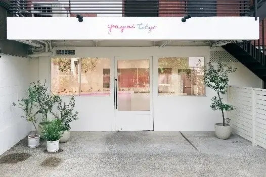 【2026年最新】住宅街で育つ“松戸のレモン”が収穫最盛期に 画像 9