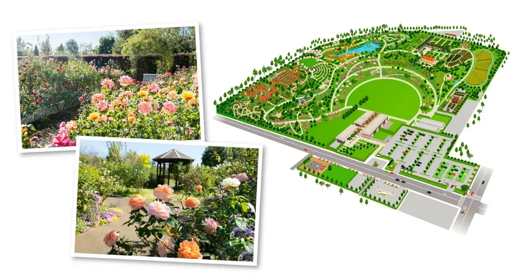 令和8年は、昭和101年。2026年2月21日(土)～23日(月・祝)の3日間、神奈川県立 花と緑のふれあいセンター『花菜ガーデン』で〈昭和レトロなモノ展〉第2弾を開催。昭和101年だョ！全員集合 画像 10