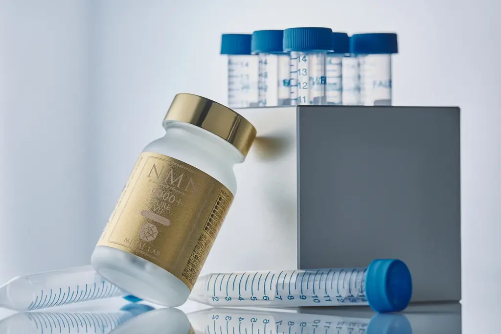 【2026年2月11日(水・祝)】POP UP STORE オープンのお知らせ 画像 3