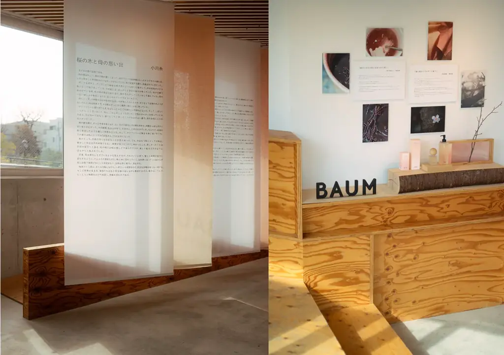 「BAUM」SAKURA TREE ポップアップイベント 2/6-2/8開催中 画像 4