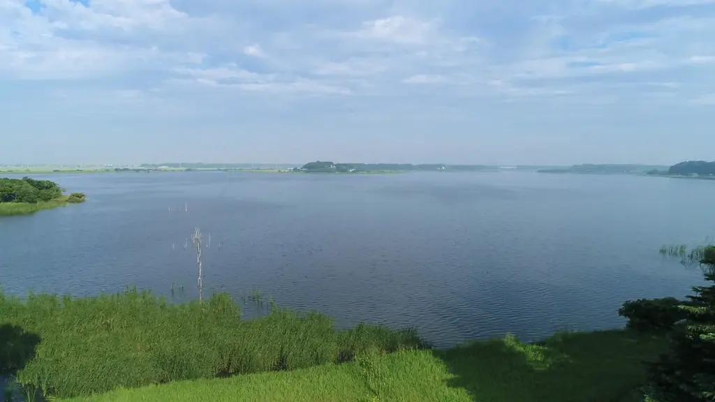 「リュウガサキッチン コメカトマト」2月10日（火）オープン 画像 7