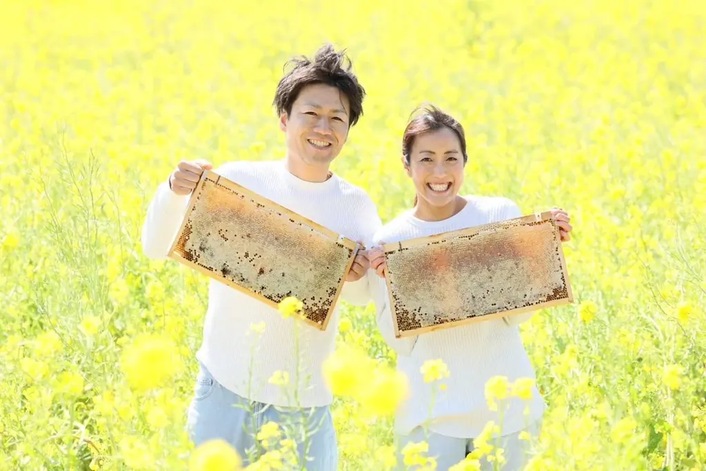 新登場＊幻の菜の花はちみつが主役のケーキ＊家族経営養蜂家の初挑戦。豊橋市を代表する老舗和菓子店お亀堂とコラボレーション! 画像 2
