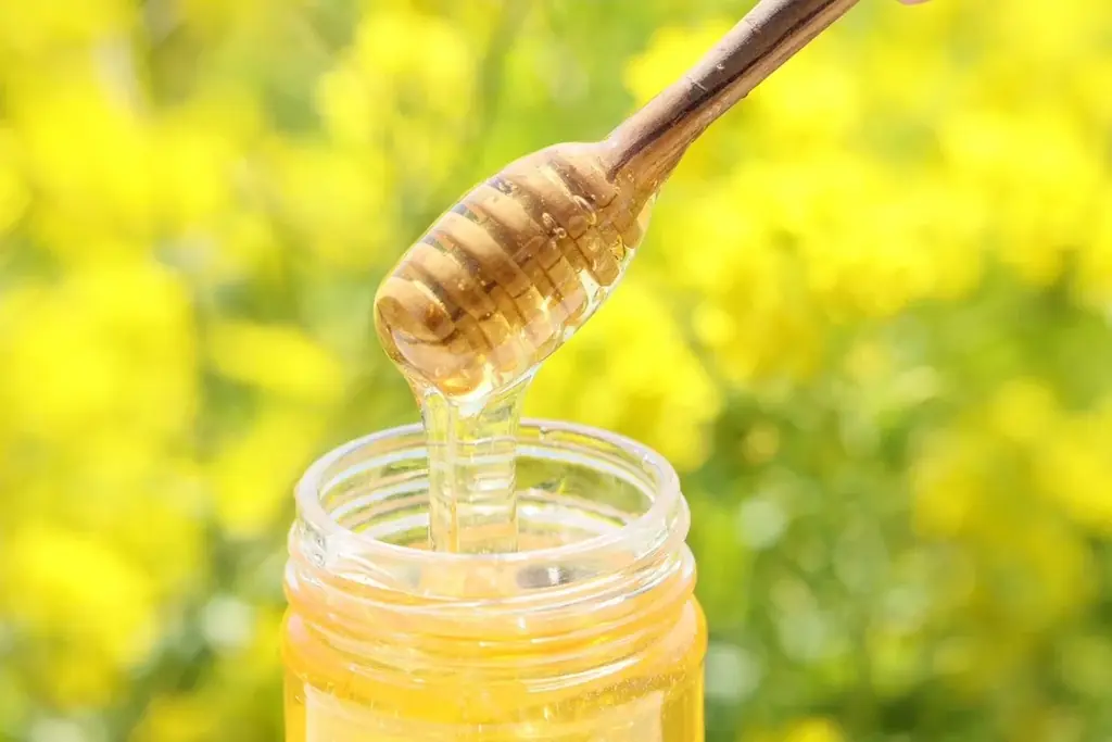新登場＊幻の菜の花はちみつが主役のケーキ＊家族経営養蜂家の初挑戦。豊橋市を代表する老舗和菓子店お亀堂とコラボレーション! 画像 4