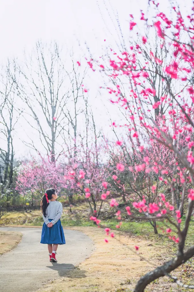 小さな春がいっぱい！「早春フェスタ」を開催します（国営讃岐まんのう公園） 画像 2