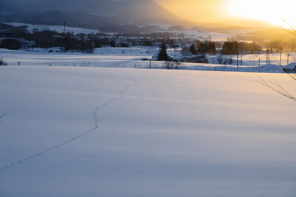 【更別村で初開催】地域づくり特化型フィールドワーク第7弾「ミチシロカ in 北海道更別村」開催 画像 3