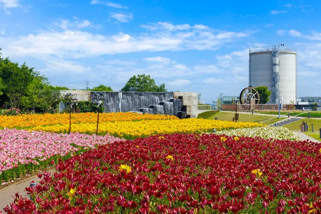 【福井県坂井市×極楽湯】東尋坊をイメージした替わり湯や、特産品をつかったメニューで坂井市をPR！坂井ほや丸の限定コラボグッズやノベルティ、チェキ会も実施！坂井ほや丸のぬくぬくフェア開催 画像 9