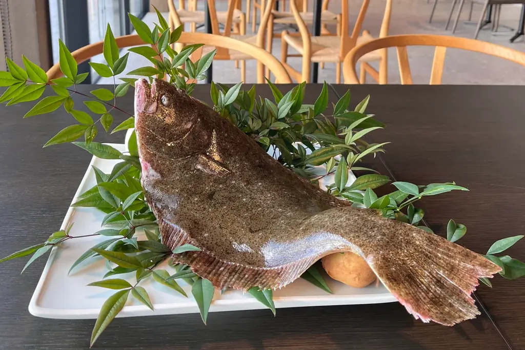 【長崎・平戸】平戸ひらめまつり連動。Kikka Hirado が冬の平戸産寒ビラメを“刺身”で味わう期間限定プランを提供 画像 4