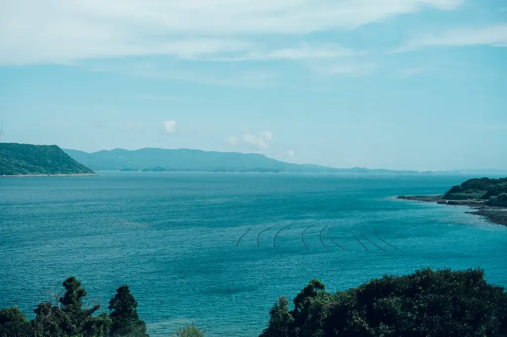 【長崎・平戸】平戸ひらめまつり連動。Kikka Hirado が冬の平戸産寒ビラメを“刺身”で味わう期間限定プランを提供 画像 7