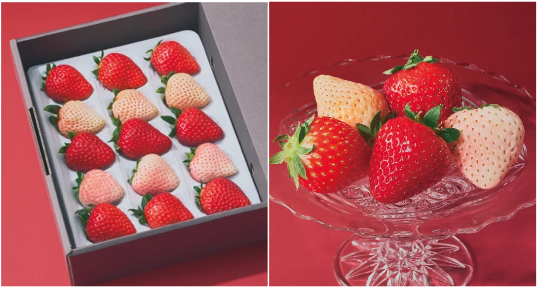 選び抜かれた「旬」だけを。プロが品種の個性を紡ぐ、キュレイテッドフルーツブランド「ORVIIA」誕生。 画像 2