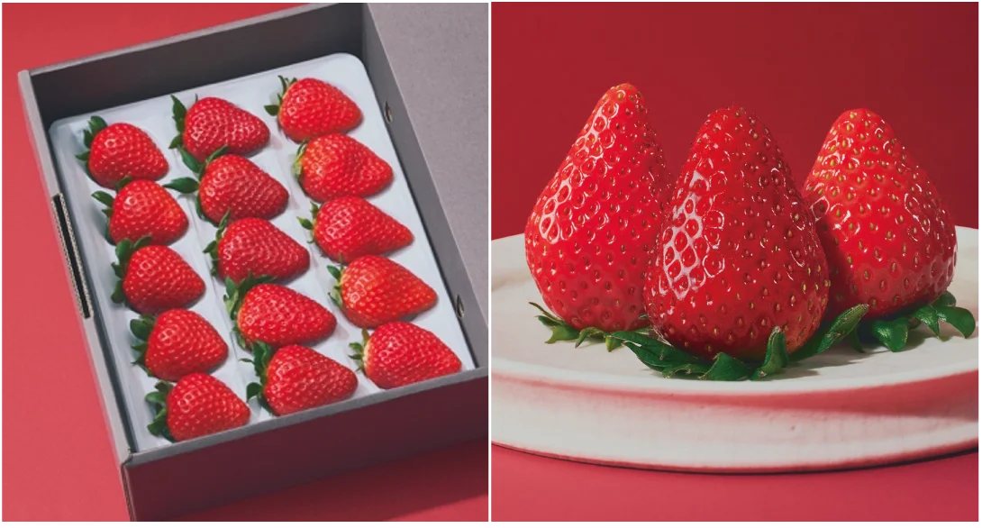 選び抜かれた「旬」だけを。プロが品種の個性を紡ぐ、キュレイテッドフルーツブランド「ORVIIA」誕生。 画像 3