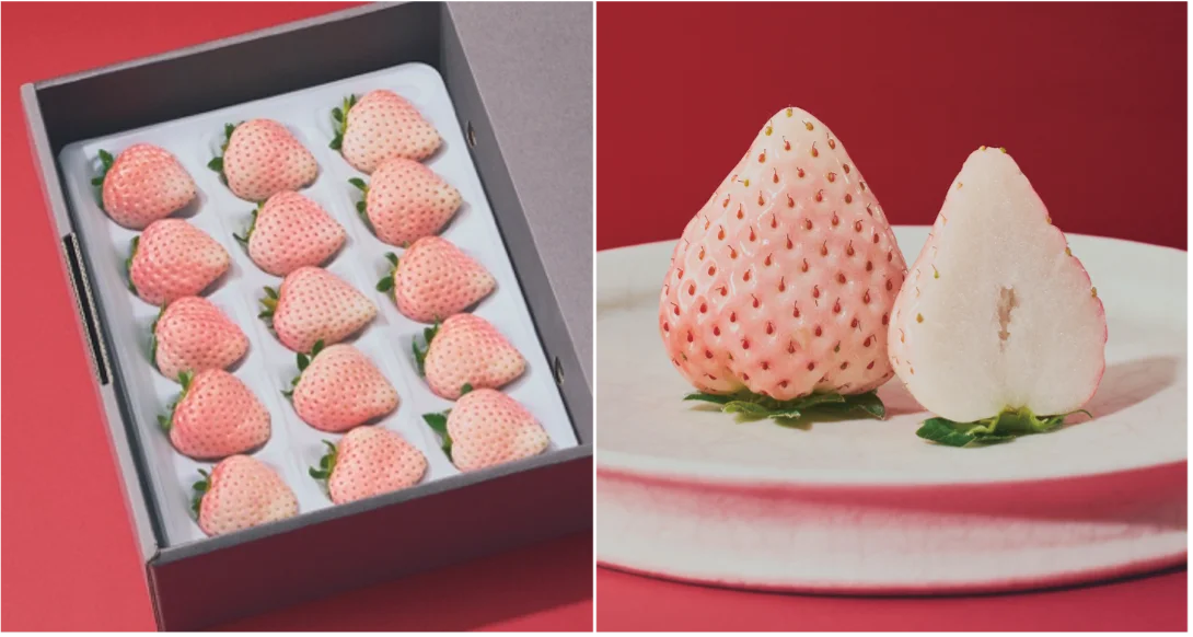 選び抜かれた「旬」だけを。プロが品種の個性を紡ぐ、キュレイテッドフルーツブランド「ORVIIA」誕生。 画像 5