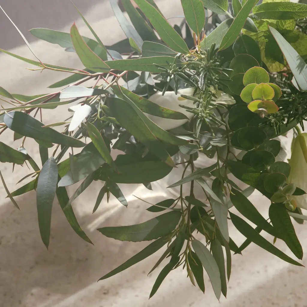 ＜新発売＞春の気配で日常を彩る100%天然エッセンシャルオイルブレンド「SPRING MOMENT（スプリングモーメント）」2026年3月6日(金) 画像 2