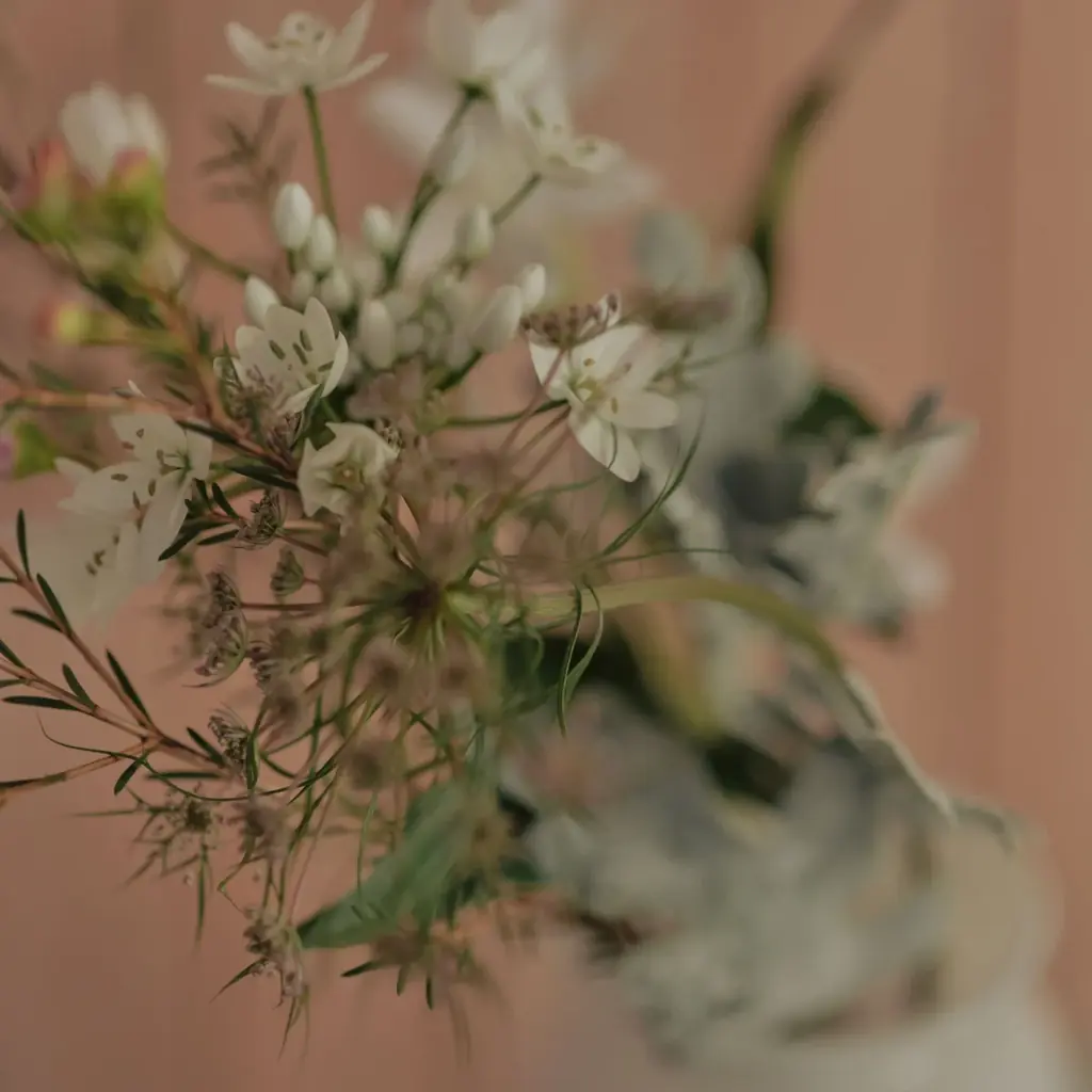 ＜新発売＞春の気配で日常を彩る100%天然エッセンシャルオイルブレンド「SPRING MOMENT（スプリングモーメント）」2026年3月6日(金) 画像 3