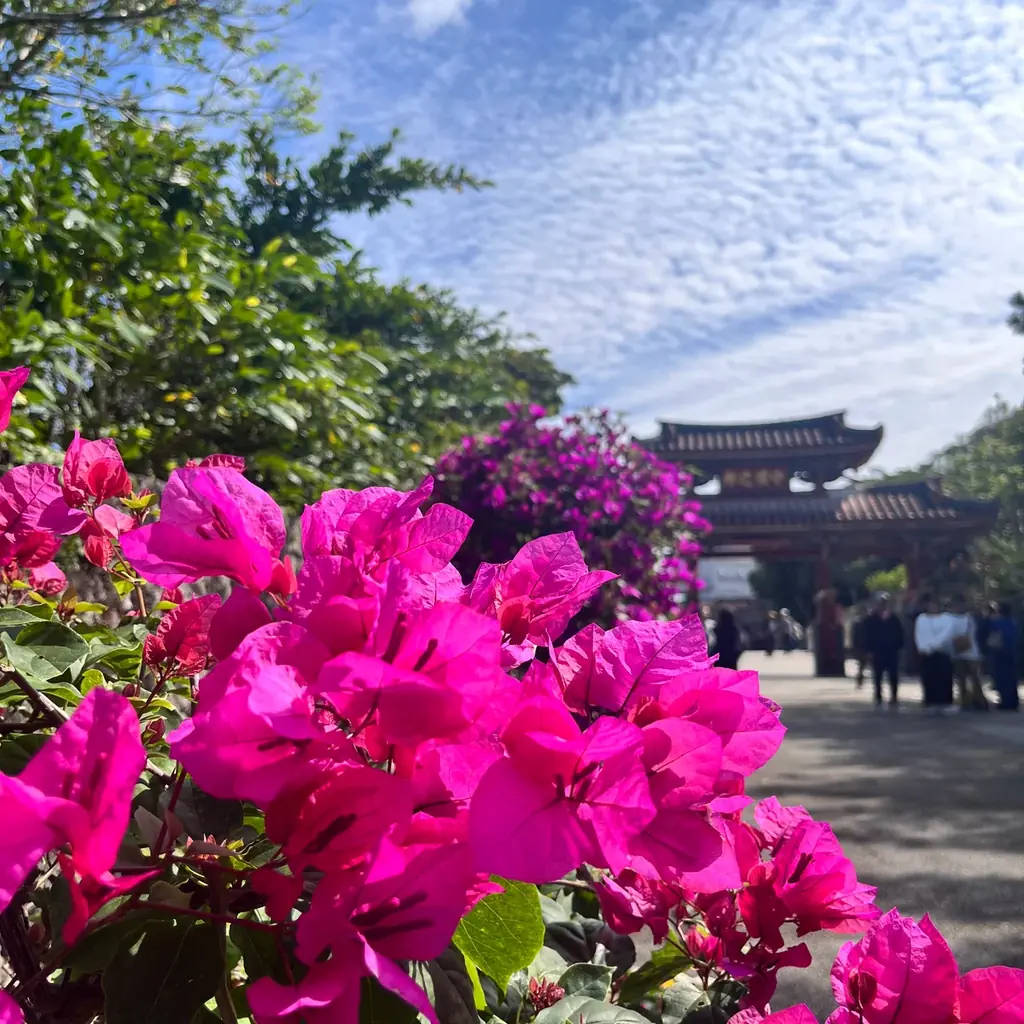 【首里城公園】見る・知る・めぐる首里城公園「華みぐい」開催！ 画像 5
