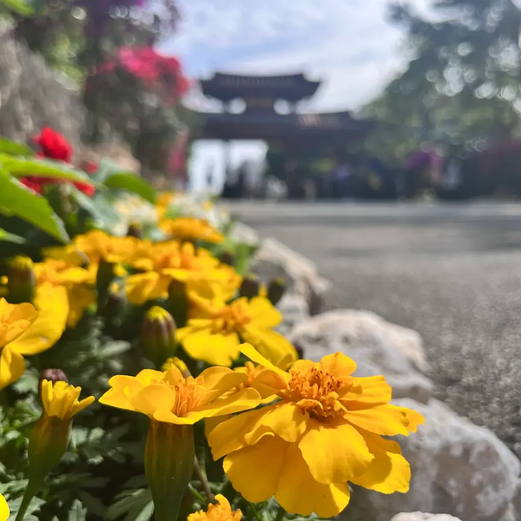 【首里城公園】見る・知る・めぐる首里城公園「華みぐい」開催！ 画像 6