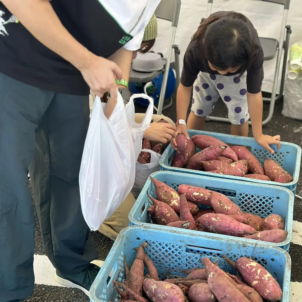 鹿児島県枕崎市での4者共同開発のオリジナル芋焼酎が今春発売！名称は「そらより。」に決定 画像 13
