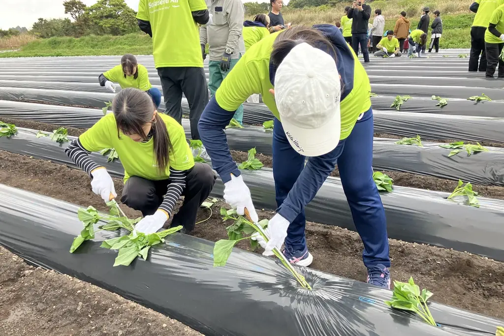 鹿児島県枕崎市での4者共同開発のオリジナル芋焼酎が今春発売！名称は「そらより。」に決定 画像 9