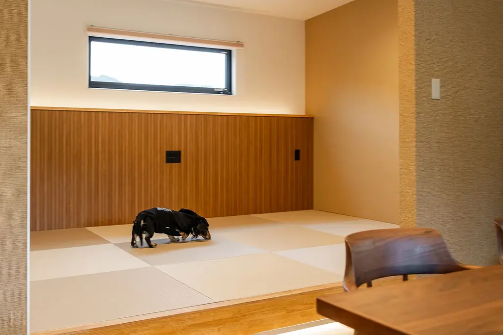 【最大30％OFF】愛犬旅は今が狙い目！全棟ドッグラン・サウナ付き「ドッグヴィラ広島」で春旅応援〈3大キャンペーン〉同時開催 画像 11