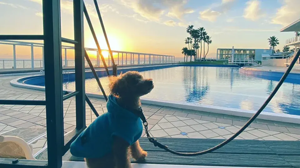 海から数メートル「オーシャンサウナ」も日帰りで楽しめる、冬期限定デイユースプランが新登場！都心から約60分、湘南の海・富士山・江の島を一望できるグランピング施設【スペースキーポイント】 画像 3