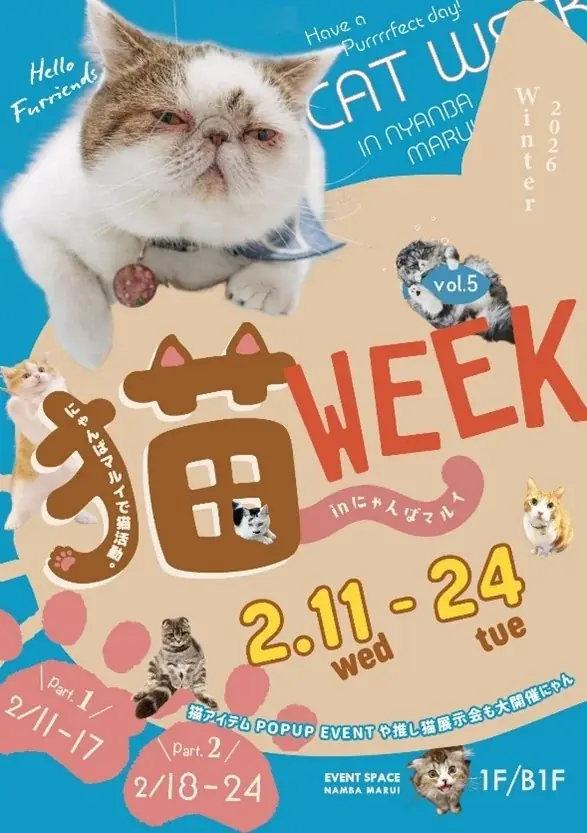 2/11スタート「猫WEEK in にゃんばマルイ」猫グッズ祭