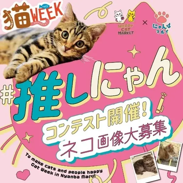 かわいいが止まらない！猫好きのための祭典「猫WEEK in にゃんばマルイ vol.5」をなんばマルイで開催！ 画像 10