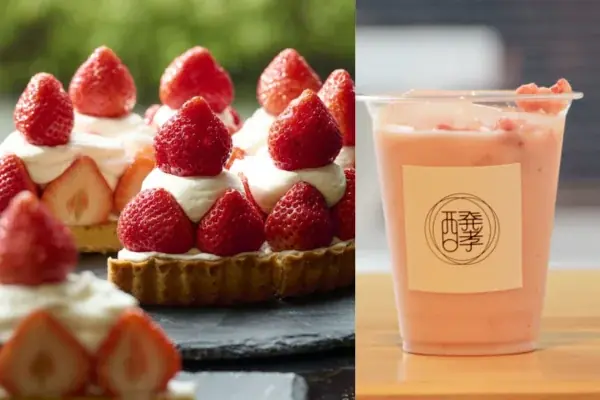 【JR西日本ホテルズ】7ホテルで春の訪れを告げるいちごスイーツを提供～フレッシュいちごの食べ比べや、コンクール受賞パティシエ監修のブッフェなど～ 画像 6