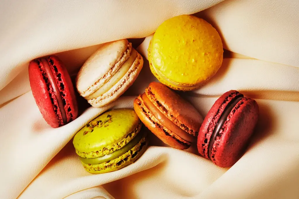 全国初！エスコヤマのサテライト店が、名古屋タカシマヤに2月25日オープン 画像 16