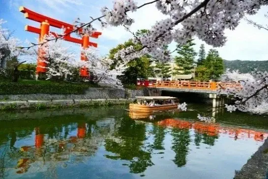 桜・椿・梅が彩る花の都、京都で心ゆくまで花を愛でる「特別拝観」と光・音・香の演出による「夜桜アートライトアップイベント」を堪能！「そうだ 京都、行こう。」2026年春キャンペーンが2月10日（火）開始 画像 11