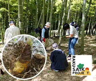 桜・椿・梅が彩る花の都、京都で心ゆくまで花を愛でる「特別拝観」と光・音・香の演出による「夜桜アートライトアップイベント」を堪能！「そうだ 京都、行こう。」2026年春キャンペーンが2月10日（火）開始 画像 13