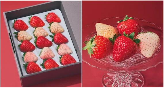 フリーキャスター・永島優美がブランドファウンダーを務める「ORVIIA」がルミネアグリマルシェに初登場 画像 2