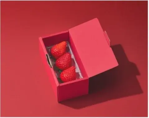 フリーキャスター・永島優美がブランドファウンダーを務める「ORVIIA」がルミネアグリマルシェに初登場 画像 3