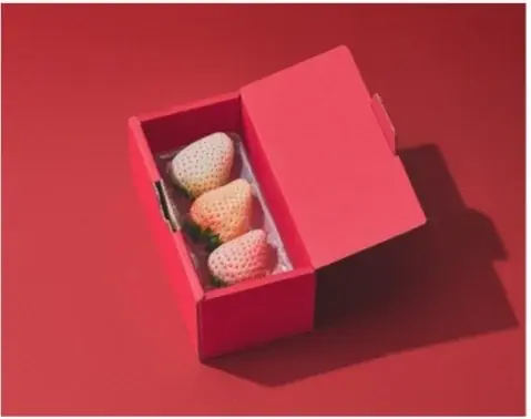 フリーキャスター・永島優美がブランドファウンダーを務める「ORVIIA」がルミネアグリマルシェに初登場 画像 4