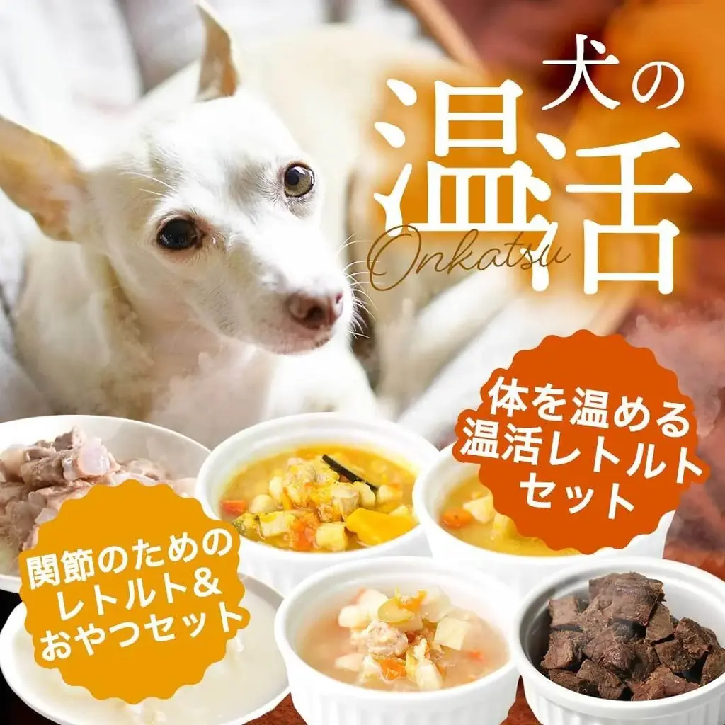 《POCHI》ぽかぽか温活セット（犬用）2種を数量限定販売 画像 1