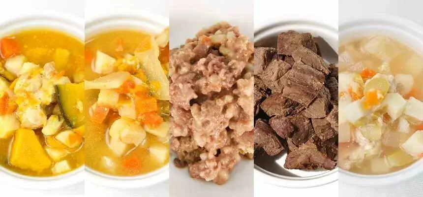 《POCHI》ぽかぽか温活セット（犬用）2種を数量限定販売 画像 2