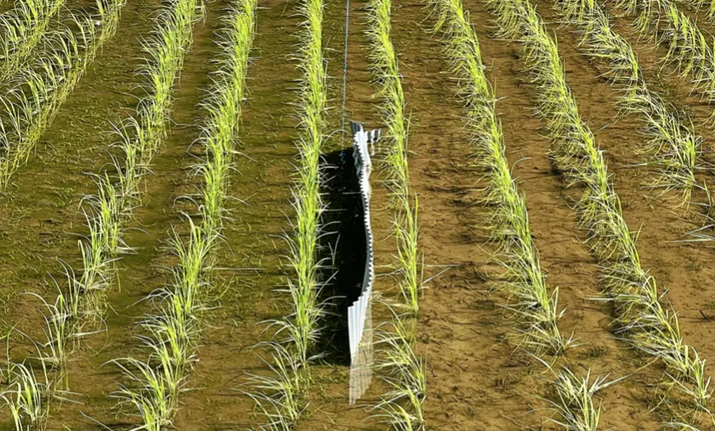 水田除草ロボットの最新モデルが登場！重労働と環境負荷をなくし持続可能な農業を促進「ミズニゴール」2026年モデルの販売・レンタル予約受付。開始生産性15倍がさらに進化した中～大規模農家向けモデルも開始 画像 4