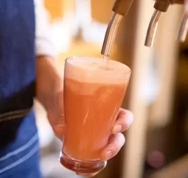 【阪急うめだ本店】 関西初出店の博多鉄板焼肉「びっくり亭本家」が登場！九州名物のお肉をふんだんに使ったメニューと柑橘スイーツが一堂に 画像 18